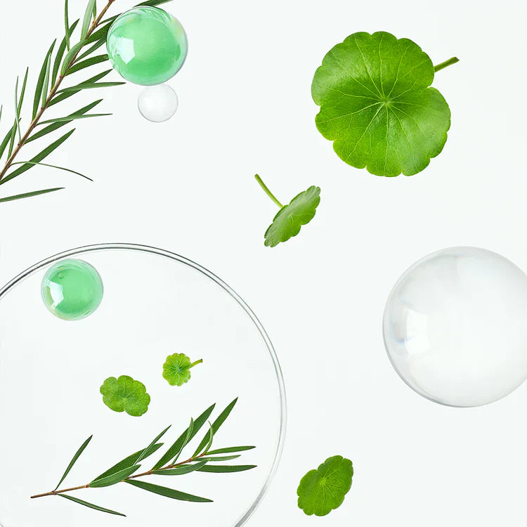 Cica (Centella Asiática)Calming Gel Cream.
